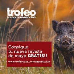 Como agua de mayo…