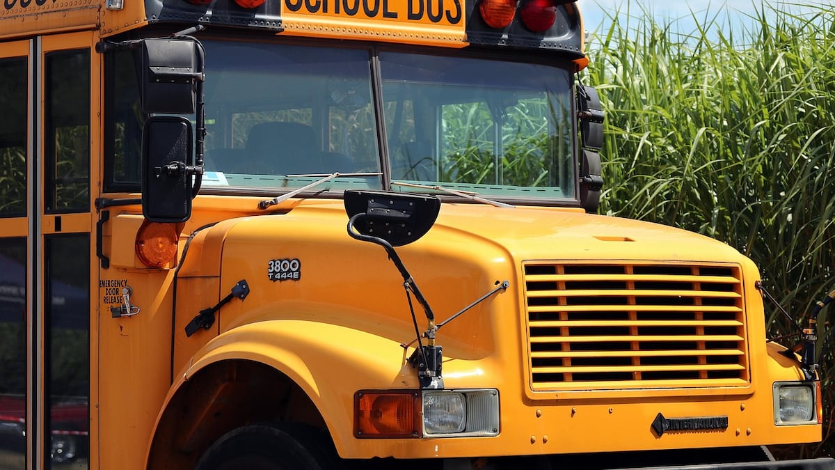 Only in the U.S.: The reason why school buses are painted yellow in the ...