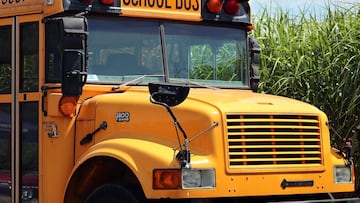 School buses were standardized in 1939 to make bus travel safer and cheaper. Today, a large percentage of the fleet are electric buses (ESBs).