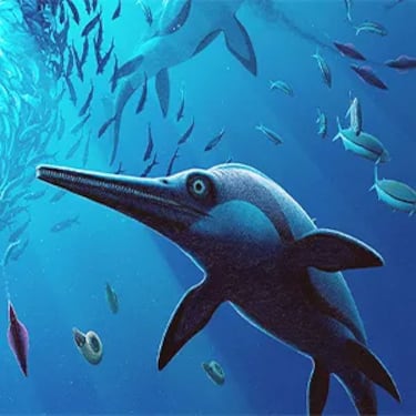 Científicos movieron una roca en 2001 y apareció un cazador del Jurásico: 24 años después, descubren el propósito del ‘dragón espada’