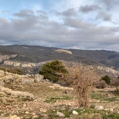 Puerto de las Palomas: De Cádiz a Cantabria pasando por Jaén
