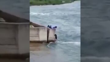 Un perro está atrapado en el mar y su rescate ya es viral