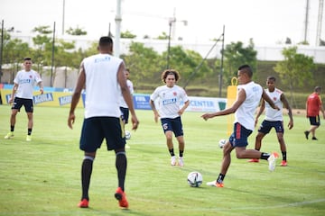 El equipo de Reinaldo Rueda tiene el gran objetivo de conseguir los tres puntos ante Ecuador en su casa. El partido será clave para la clasificación y el entrenador ya determina los detalles de los 11 jugadores que comenzarán el partido este jueves 13 de octubre. 