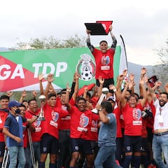 Ocho años después de la tragedia, Avispones de Chilpancingo consigue su ascenso
