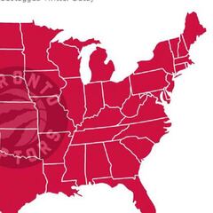Todo Estados Unidos va con los Raptors en las finales de la NBA