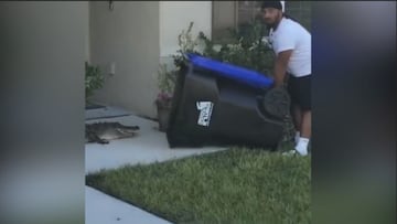 ¡Increíble! Un hombre de Florida atrapó a un cocodrilo en su patio