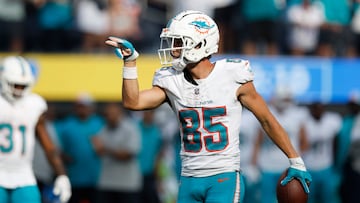 Miami Dolphins wide receiver River Cracraft