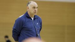 Pablo Laso, entrenador del Real Madrid, durante un entrenamiento.