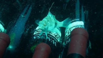 Vino submarino en Argentina