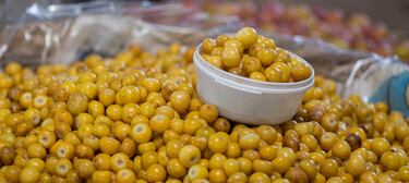 No es el plátano: la fruta mexicana que se ha consolidado como gran fuente de hierro y vitamina K