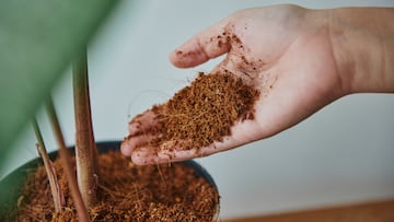 El sustrato que muchos usuarios usan para que sus plantas crezcan más sanas y fuertes en tu hogar.