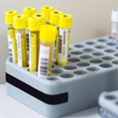 Un equipo de la AMA volverá este miércoles a por los datos del Laboratorio de Moscú