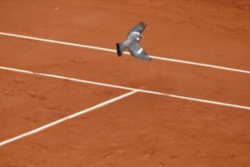 Roland Garros: Todo menos tenis