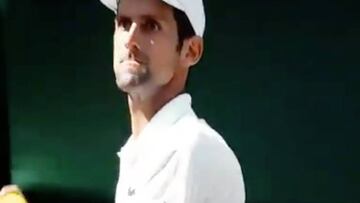¡Djokovic amagó con tirarle la bola a la cara al juez de silla!