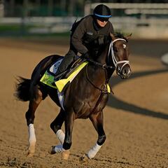 What is the prize money for the winner of the Kentucky Derby? How much does the jockey get?