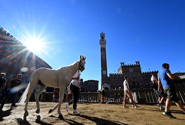 Palio de Siena.