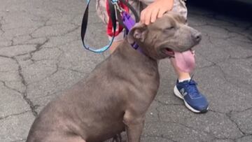 Louise, the sweet pup who finally got adopted nearly two years after arriving at the shelter