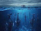 La IA se pronuncia sobre la posibilidad de que ocurra la catástrofe de una popular novela de ciencia ficción: “Real y preocupante”