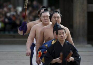 Los dos luchadores que compiten bajo los nombres de Yokozuna Kakuryu y Harumafuji son originarios de Mongolia. La ceremonia de ingreso al ring en la que se hace una ofrenda a los dioses sintoístas dura dos minutos.