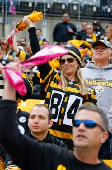 Y hablando de celebridades, la Abeja Maya estuvo en Pittsburgh disfrutando de los Steelers.