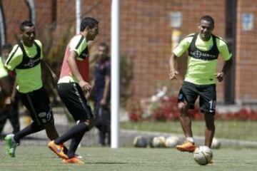 Intensidad y trabajo en el entrenamiento verdolaga