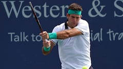 Del Potro - Kyrgios: resumen y resultado del partido