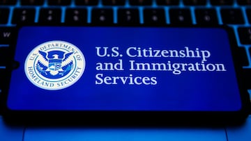 Durante años vivió como cualquier ciudadana estadounidense, pero legalmente nunca lo fue. Este es el caso de la mujer adoptada que no fue naturalizada.