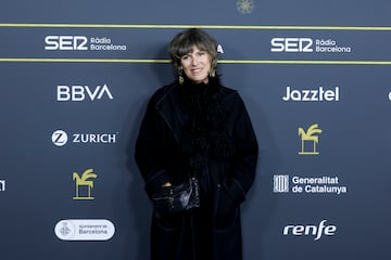 Premio Ondas Nacional de Televisión a la mejor intérprete femenina en ficción (Rapa).