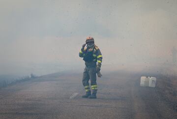 Los incendios se extienden por toda la península ibérica espoleados por la ola de calor. En Losacio (Zamora) ha perdido la vida un brigadista de los medios de extinción de la Junta de Castilla y León. Es el segundo incendio en menos de un mes en en la ciudad castellano leonesa.