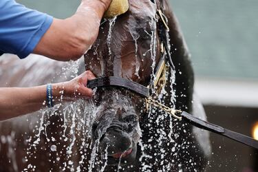 Render Judgement es lavado antes de las carreras del viernes.