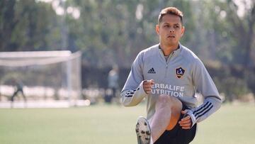 Arranca la temporada de la MLS. Houston Dynamo quiere arrancar con el pie derecho el a&ntilde;o, pero enfrente estar&aacute; Chicharito Hern&aacute;ndez, quien debuta con LA Galaxy.