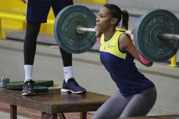 La Selección Colombia de voleibol femenina se prepara para el Preolímpico que se disputará en el Coliseo El Salitre del 6 al 9 de enero. Se enfrentará en sistema de todos contra todos a Argentina, Perú y Venezuela. 