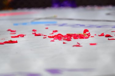 Pétalos de rosa sobre el ring donde Ilia Topuria ha hecho historia del deporte español.