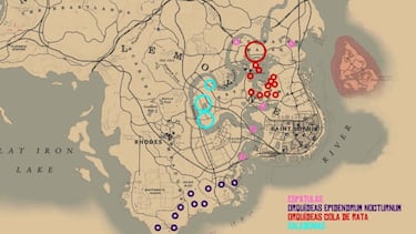 Todos los objetos exóticos de Red Dead Redemption 2