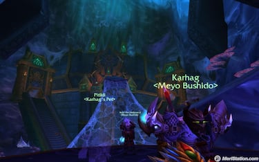 Blizzard actualiza la "Armería" de World of Warcraft