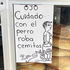 ¡Cuidado con el lomito! Perro se vuelve viral por robar cemitas