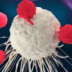 ¿Por qué hay personas con COVID-19 que no tienen ningún síntoma?