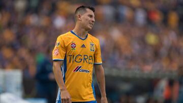José Francisco Torres, Tigres