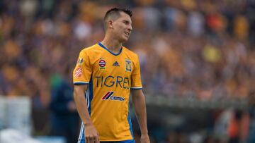 Jos&eacute; Francisco Torres, Tigres 