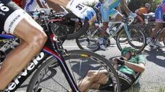 Se cruzó un gato negro