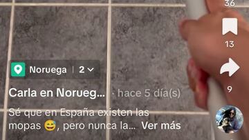 Una espa?ola ense?a c¨®mo son las ¡®fregonas¡¯ en Noruega: ¡°Nunca las hab¨ªa utilizado as¨ª...¡±