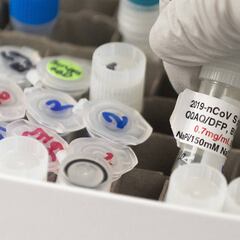 AstraZeneca halt global Covid-19 Oxford vaccine trial