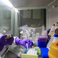 Descubren un nuevo hongo en China que muta a gran velocidad: ya hay dos muertos