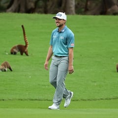 Austin Cook juega al golf entre coatís