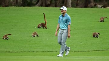 Austin Cook juega al golf entre coatís