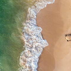 The oldest animal in the world turns 190 years old