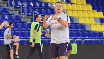 Pascual: "Nunca he dicho que Ra¨²l se retire esta temporada"