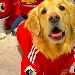 Los perros de Alexis ya son hinchas del Manchester United