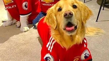 Alexis Sánchez viste a sus perros con la camiseta del Manchester United.
