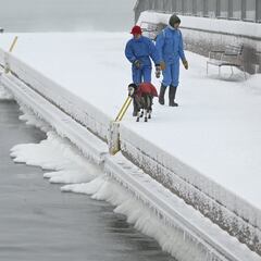 How much money does it cost to take care of a dog?